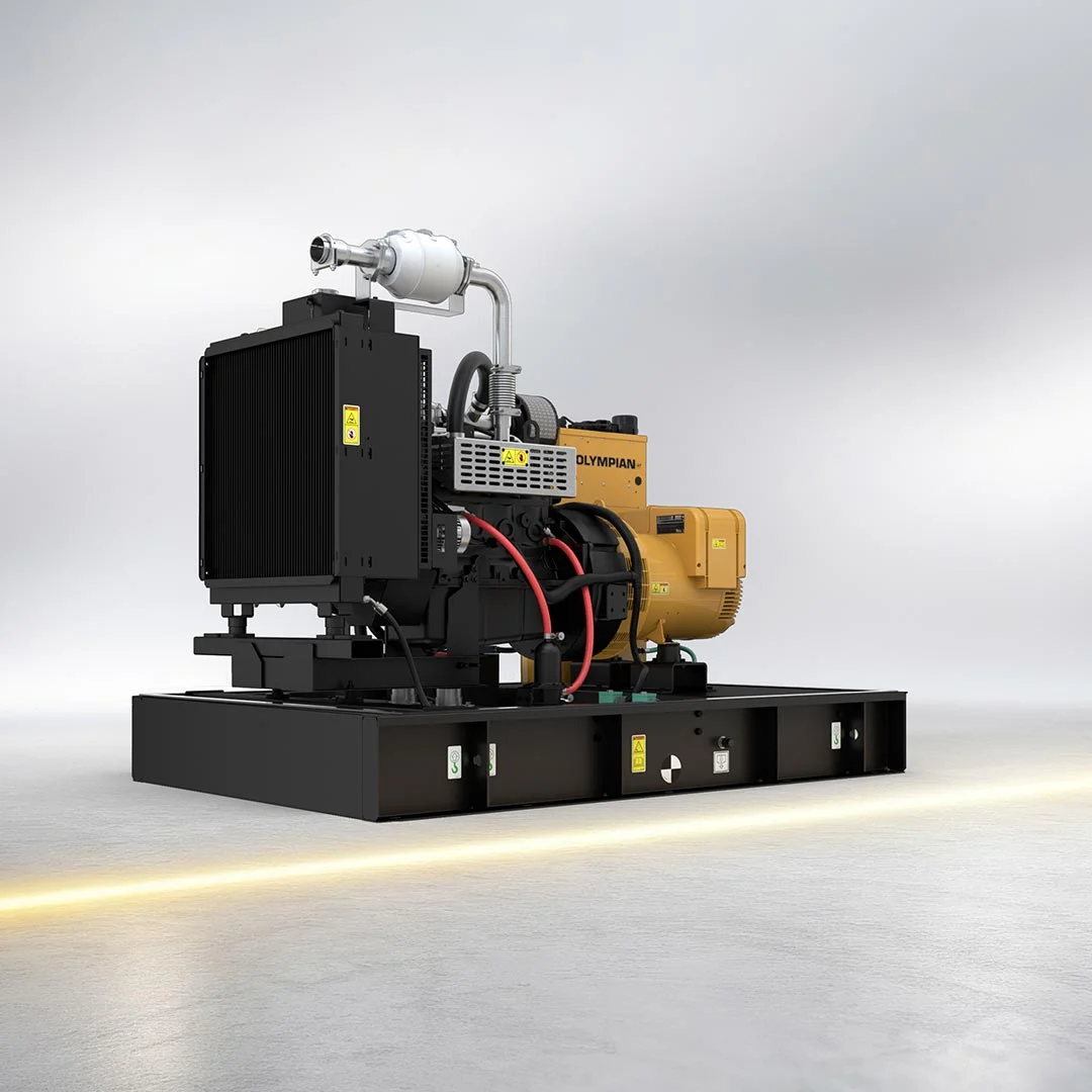OG20 Gas Generator Set